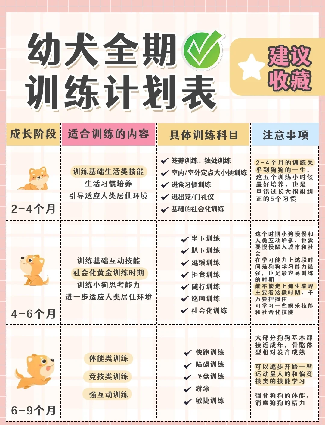 如何在有限时间内最大化篮球训练效果的策略_0